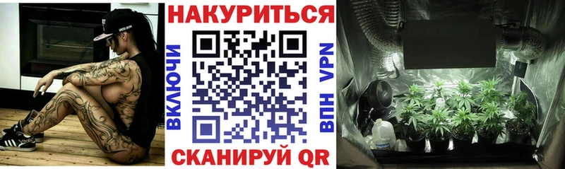 Продажа наркотиков Бердск МАРИХУАНА Галлюциногенные грибы А ПВП ГАШ МЕФ АМФ
