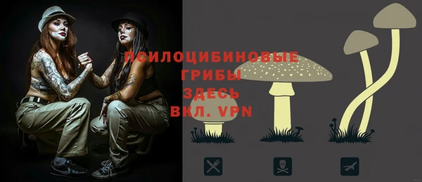 прущая мука Алзамай
